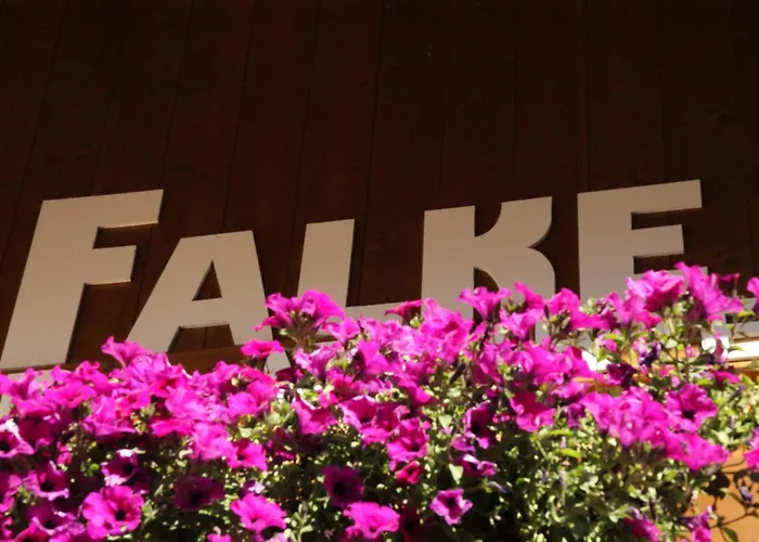 Haus Falke